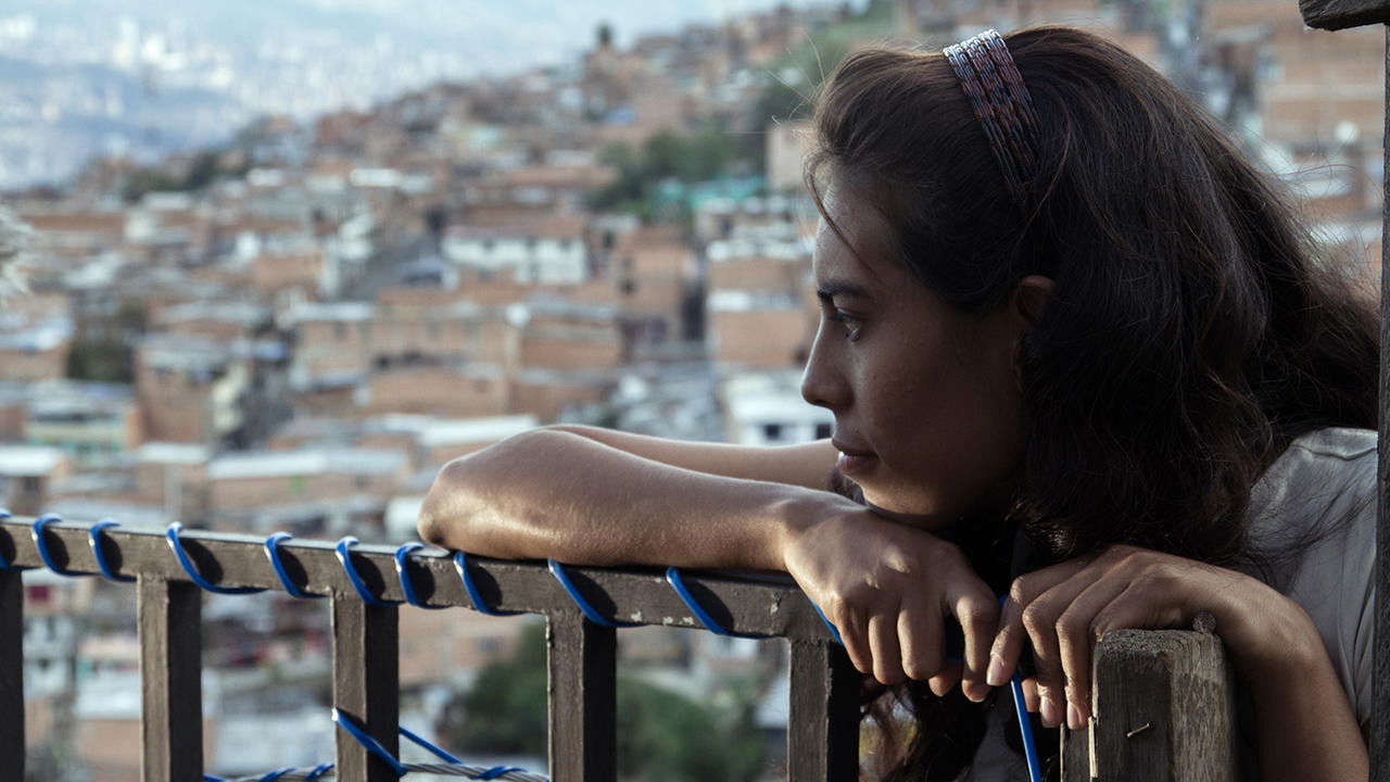 La mujer del animal Background