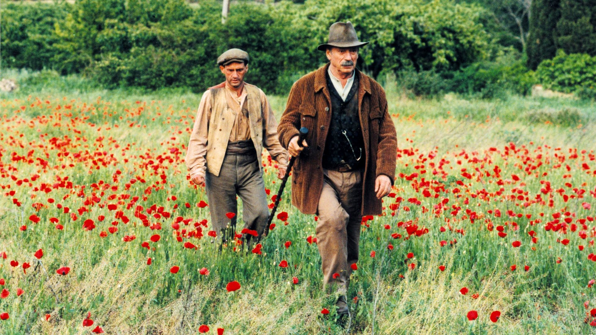 Jean de Florette Background
