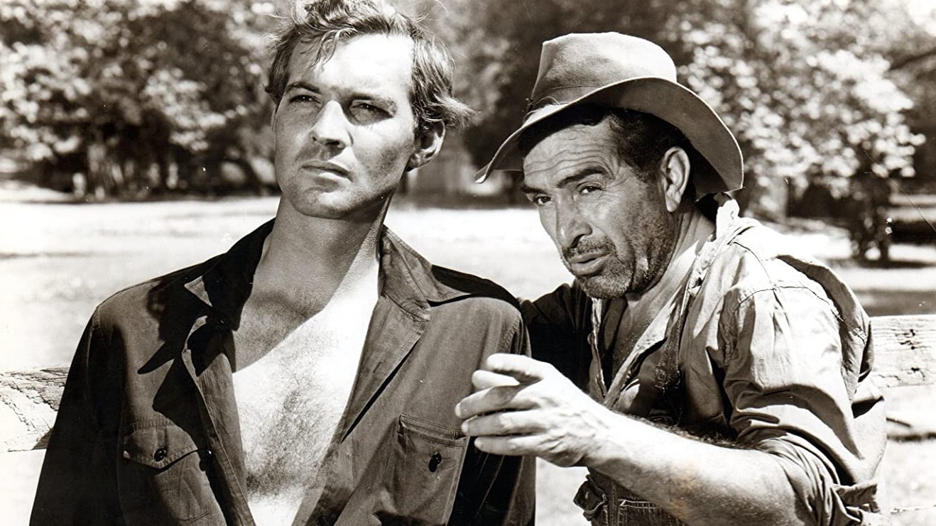 The Southerner Background