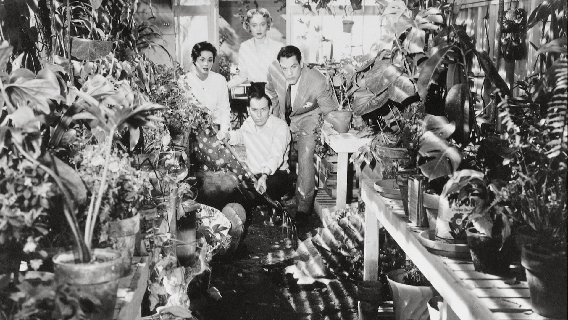 Invasion of the Body Snatchers Background