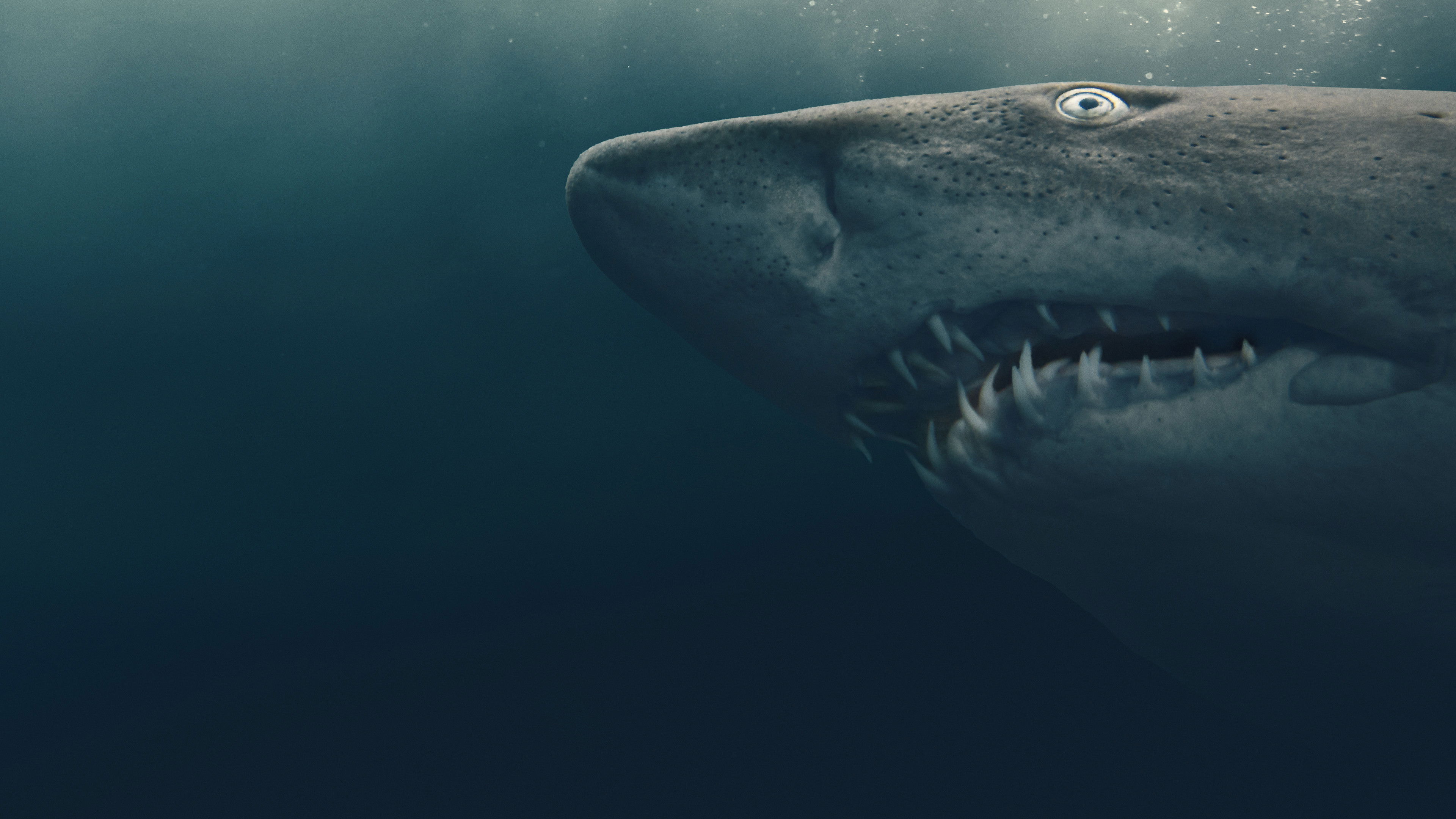 Shark Quest: Hunt For The Apex Predator Background