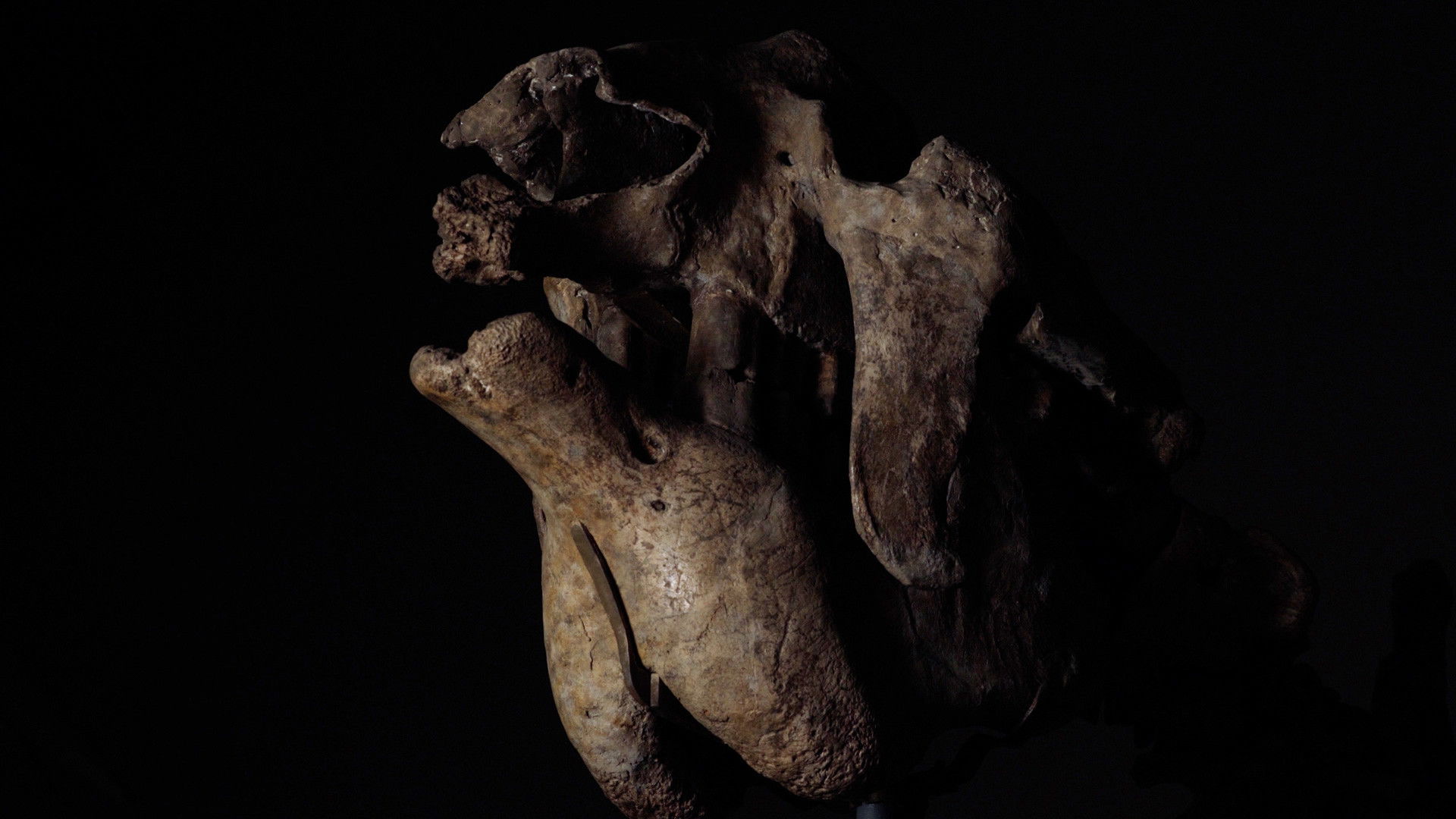 Tesoros y Fantasmas de la Ciencia Española Background