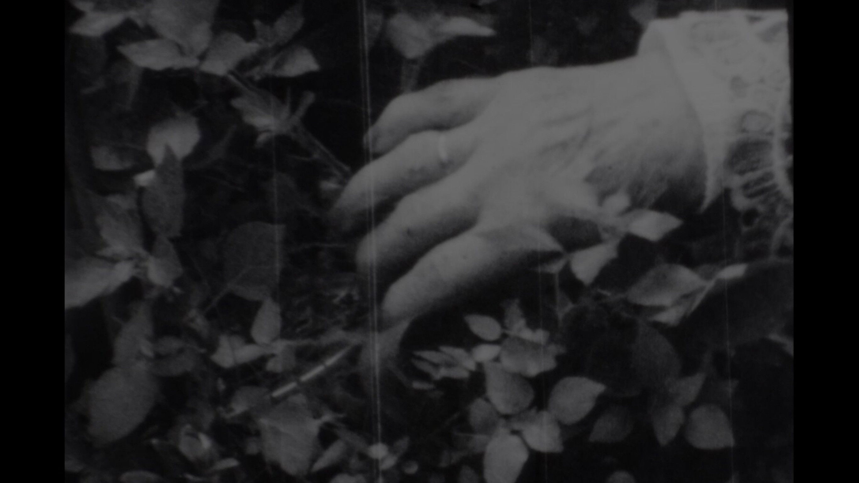 Manta de granizo Background