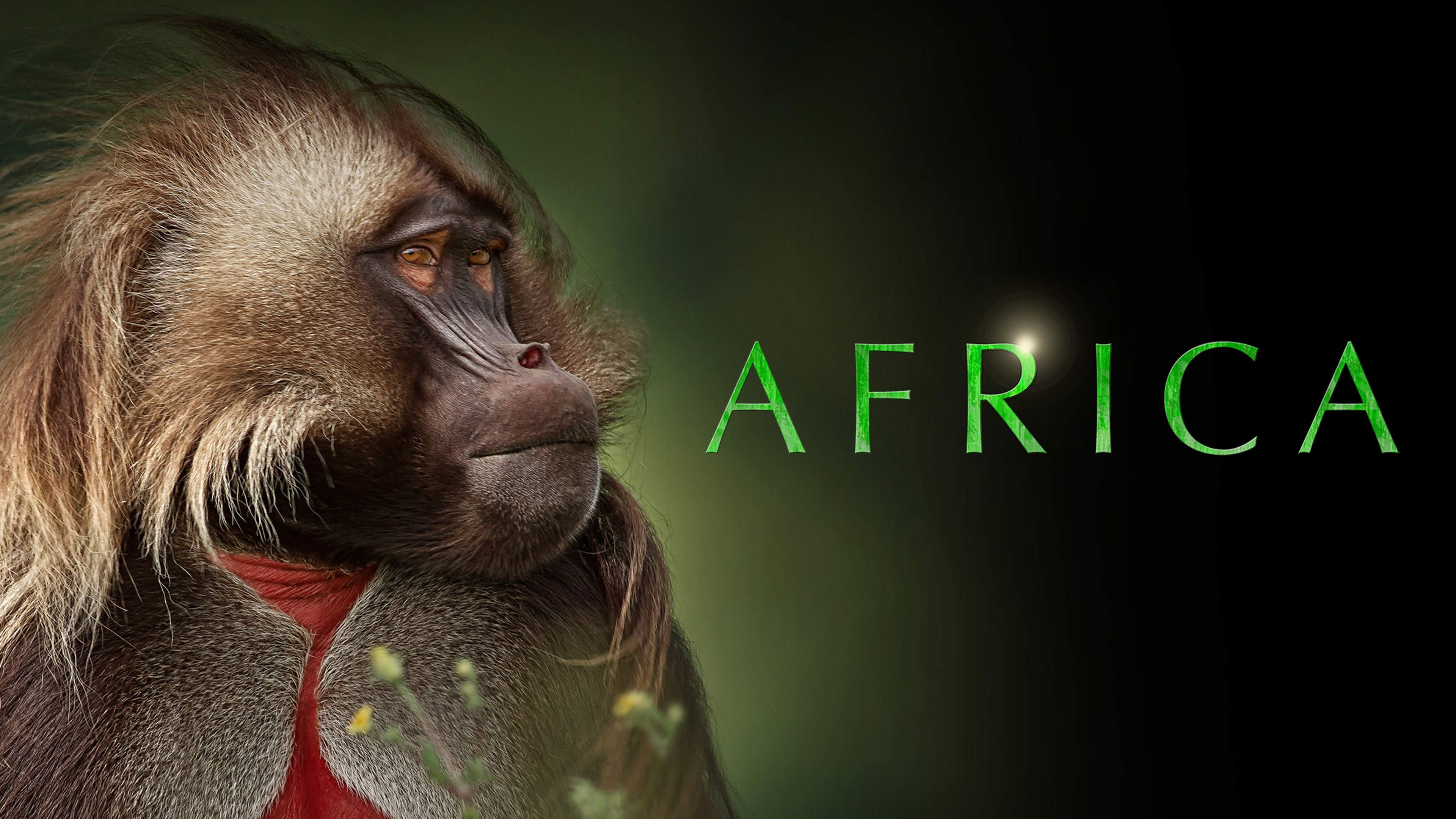 Africa Background