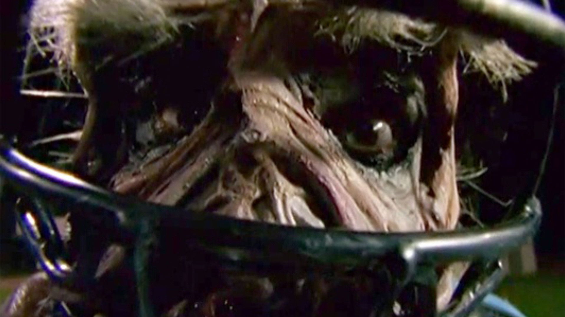 Goosebumps: Chillogy Background