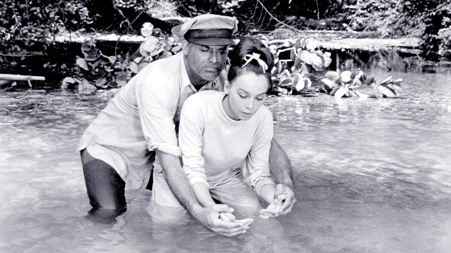 Father Goose Background