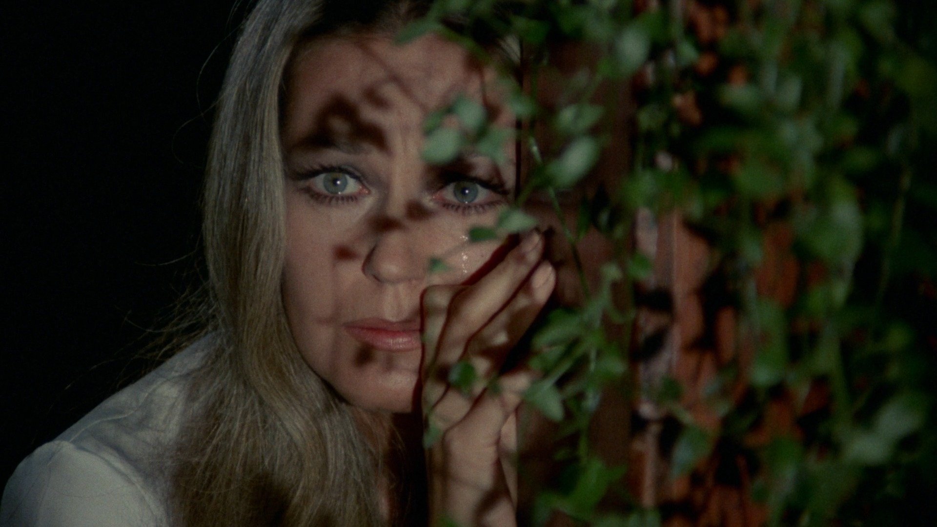 El ojo del huracán Background