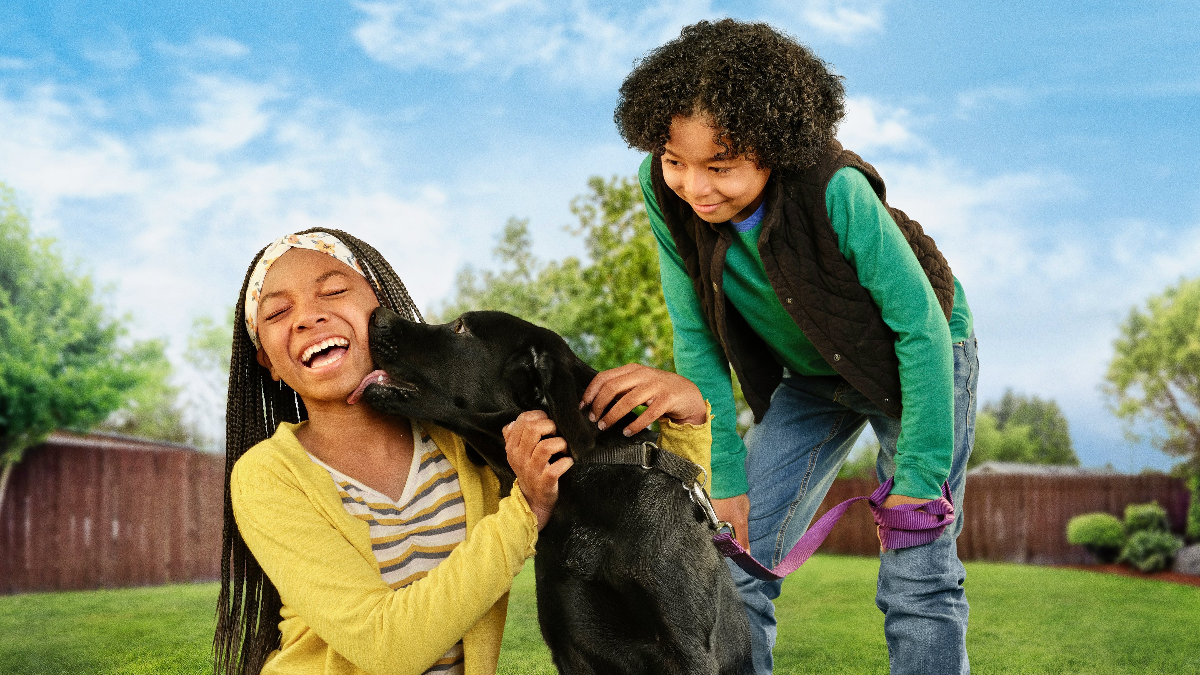 Puppy Place Background