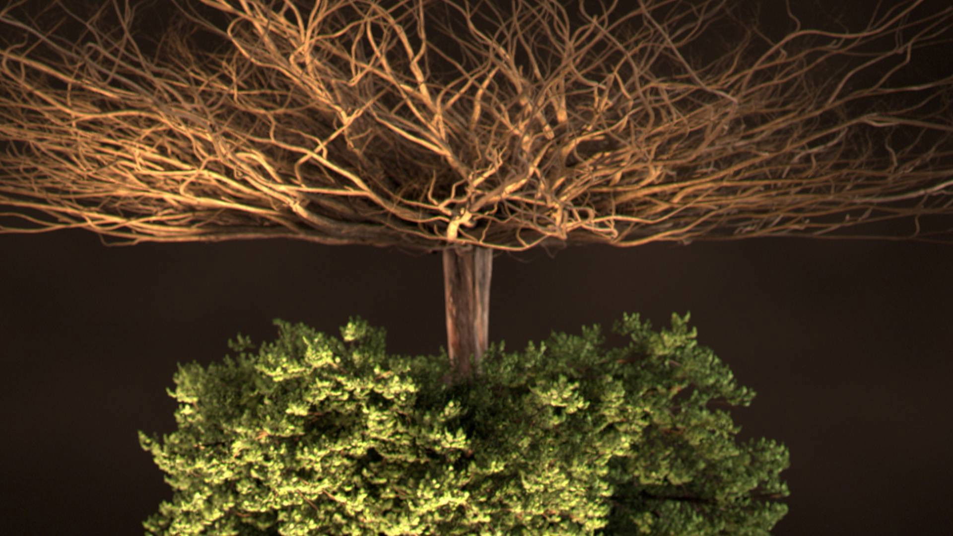 Secret Life Underground Background