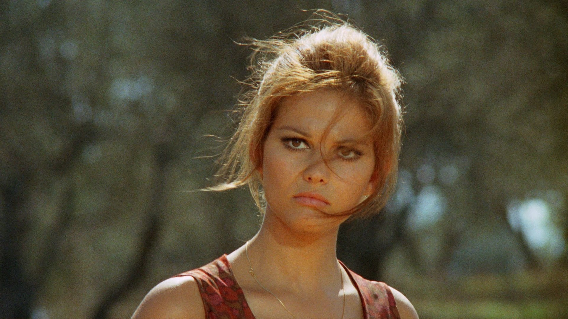 The Day of the Owl Background