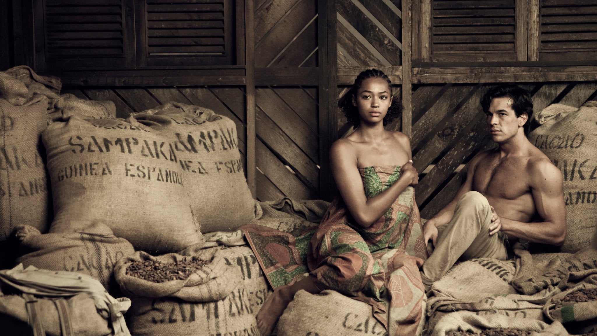 Palmeras en la nieve Background