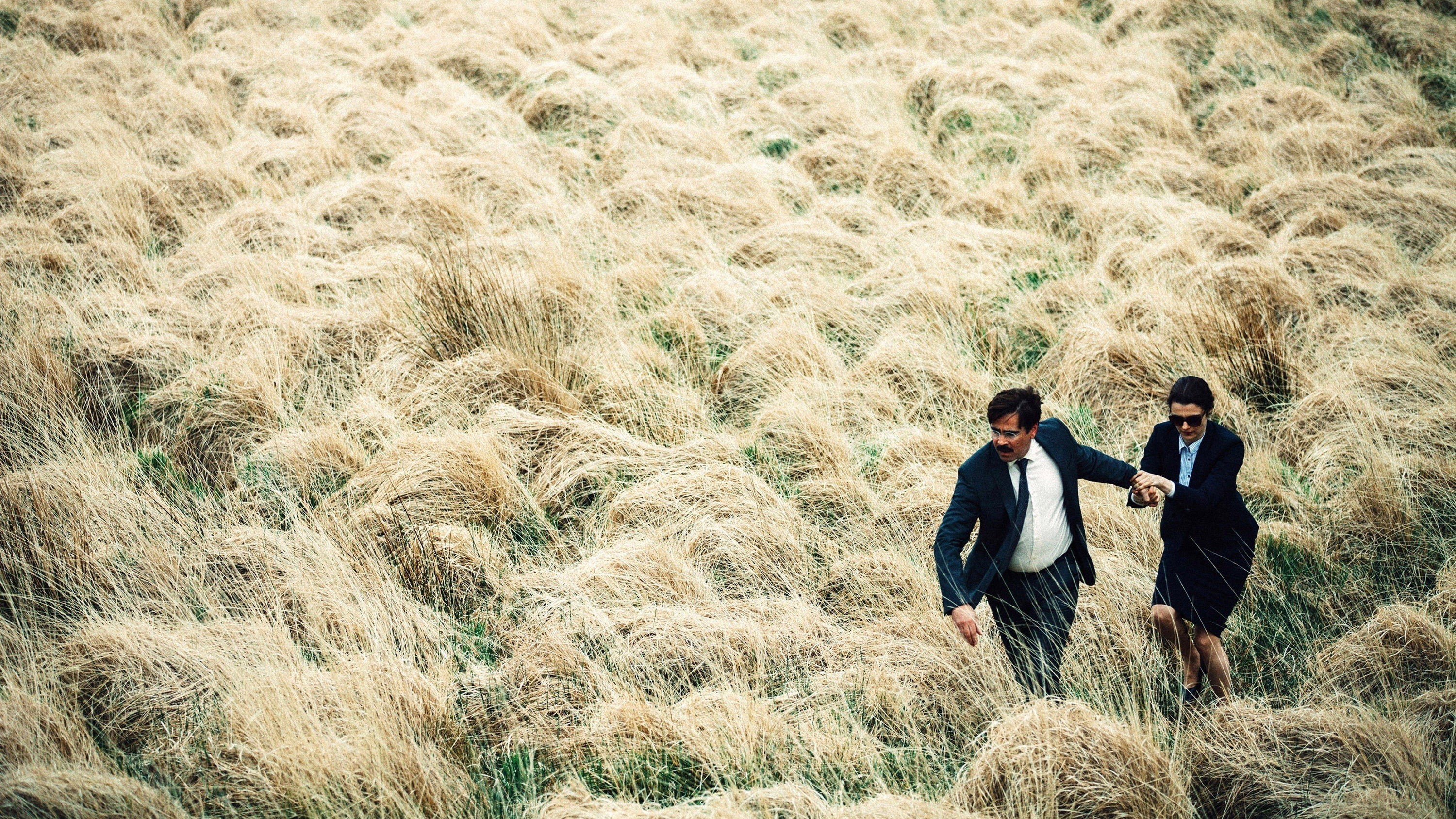 The Lobster Background