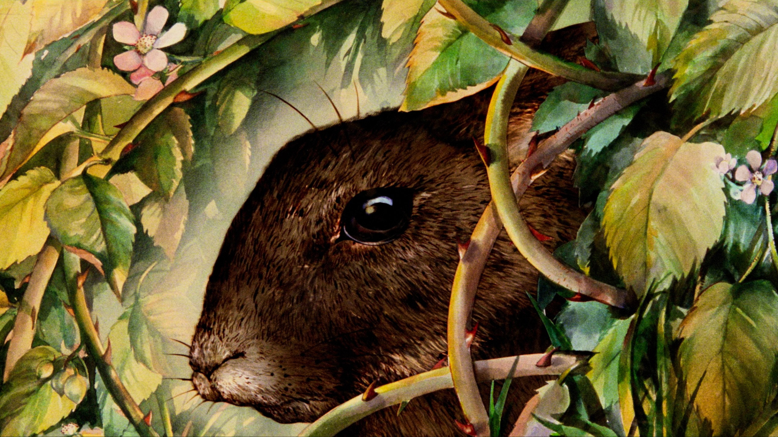 Watership Down Background