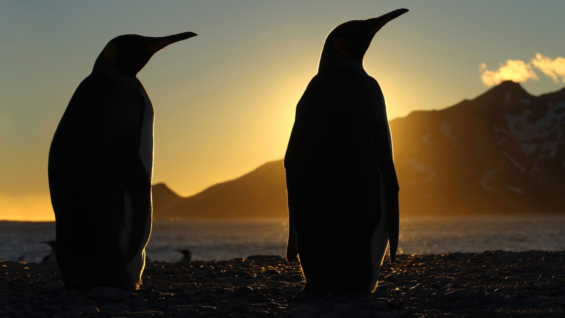 Frozen Planet Background