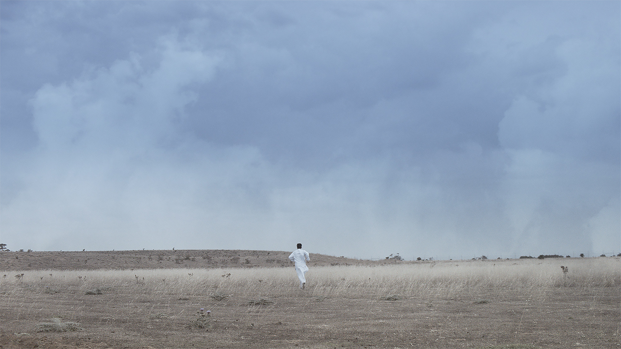 Ahmad's Garden Background