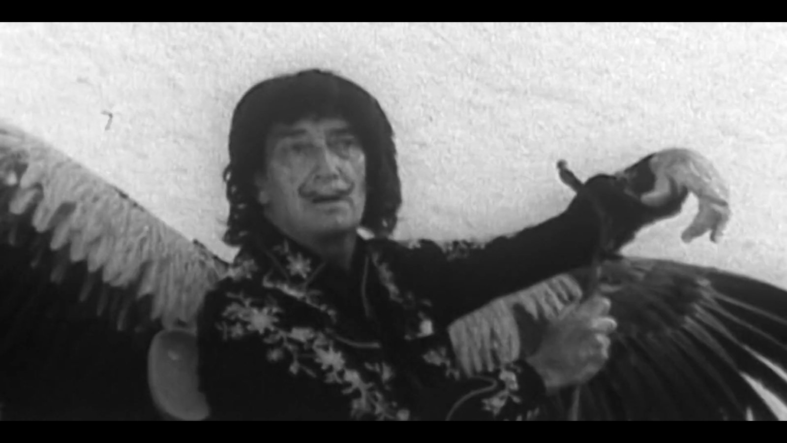 Salvador Dalí: Génie tragi-comique Background