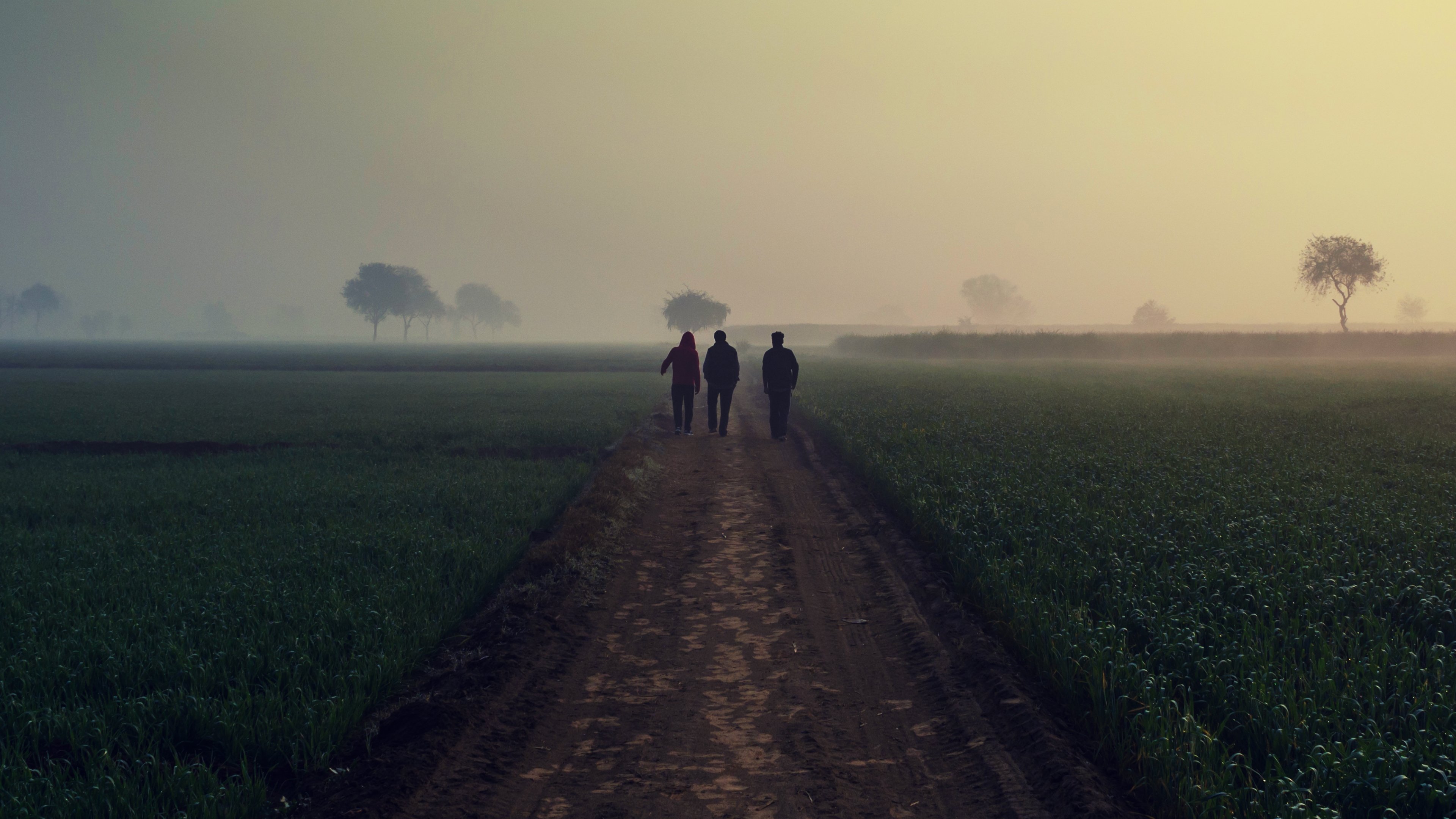 Murder Loves Company Background