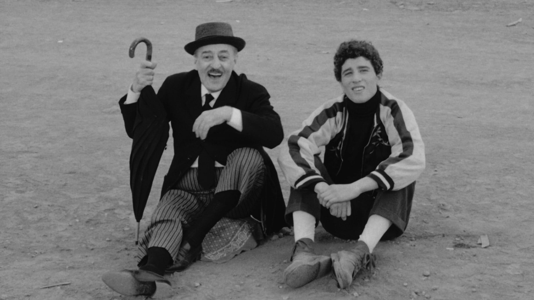 The Hawks and the Sparrows Background