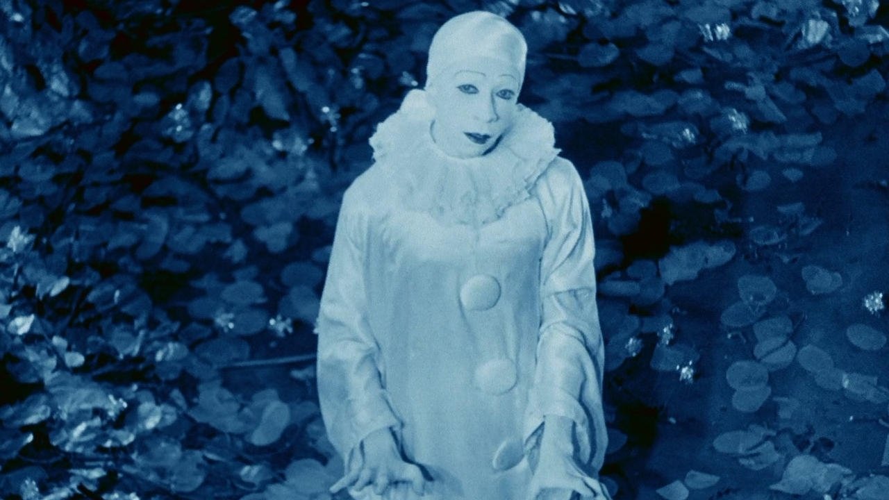 Rabbit's Moon Background