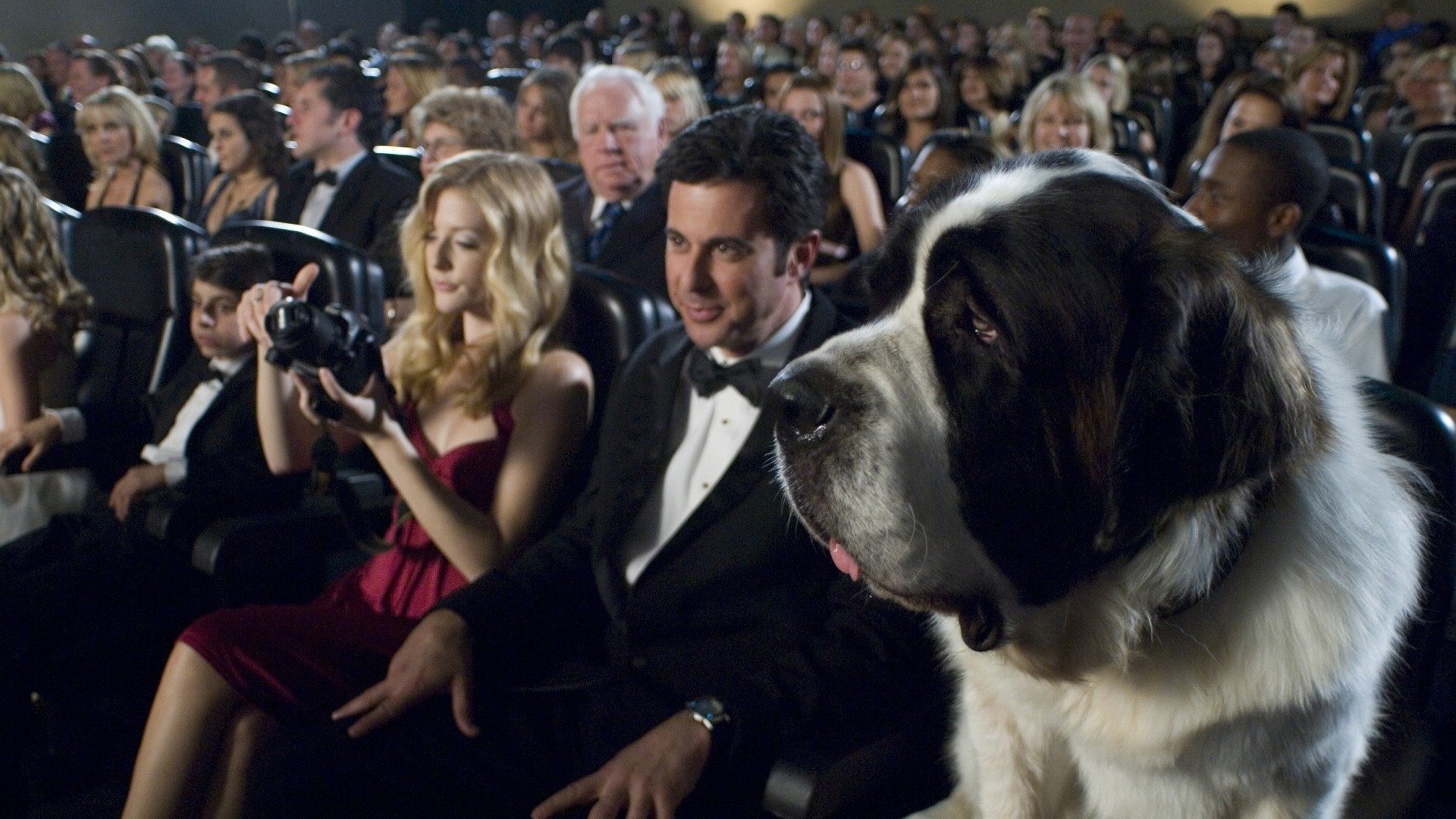 Beethoven's Big Break Background