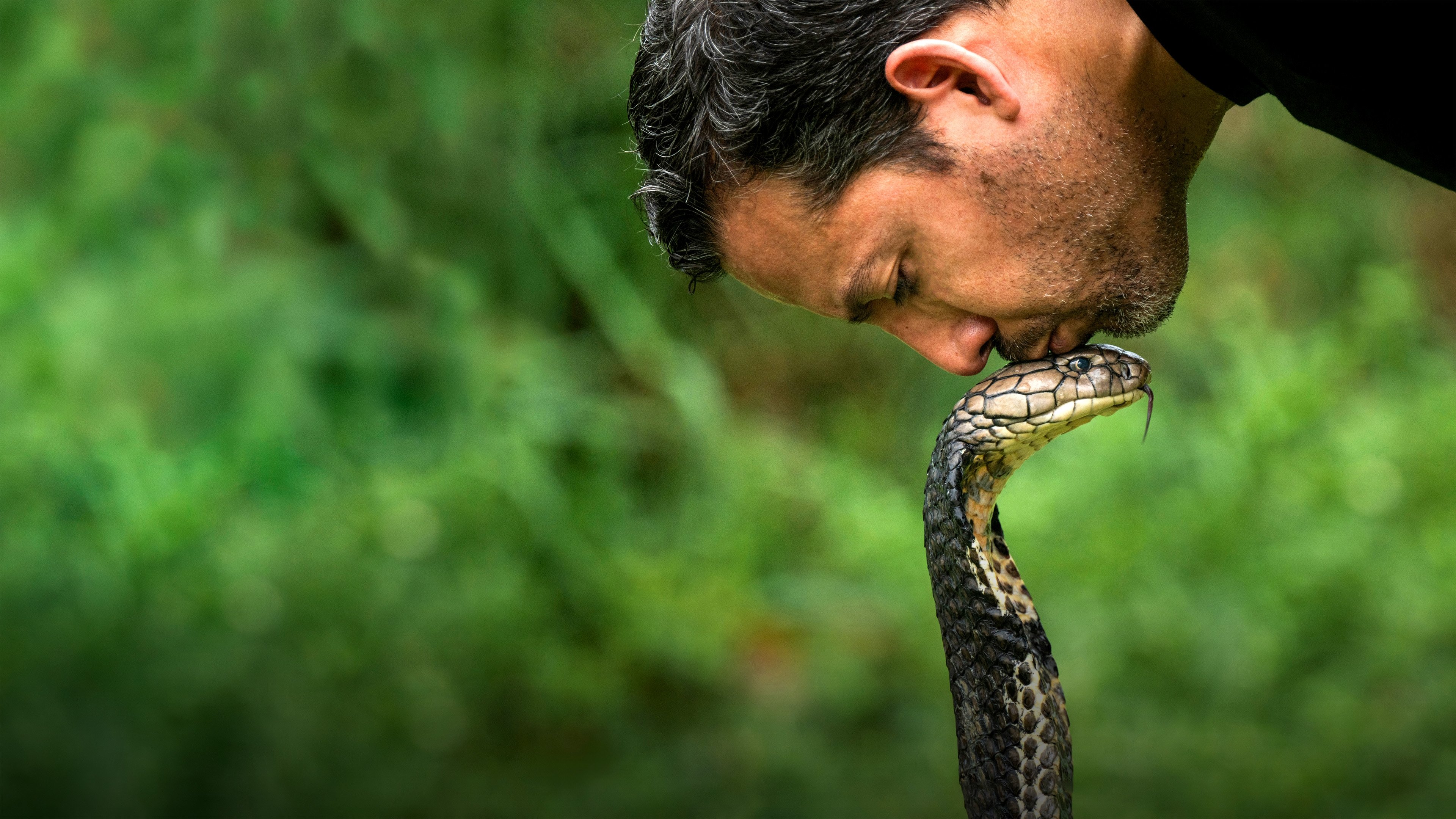 David Blaine Do Not Attempt Background