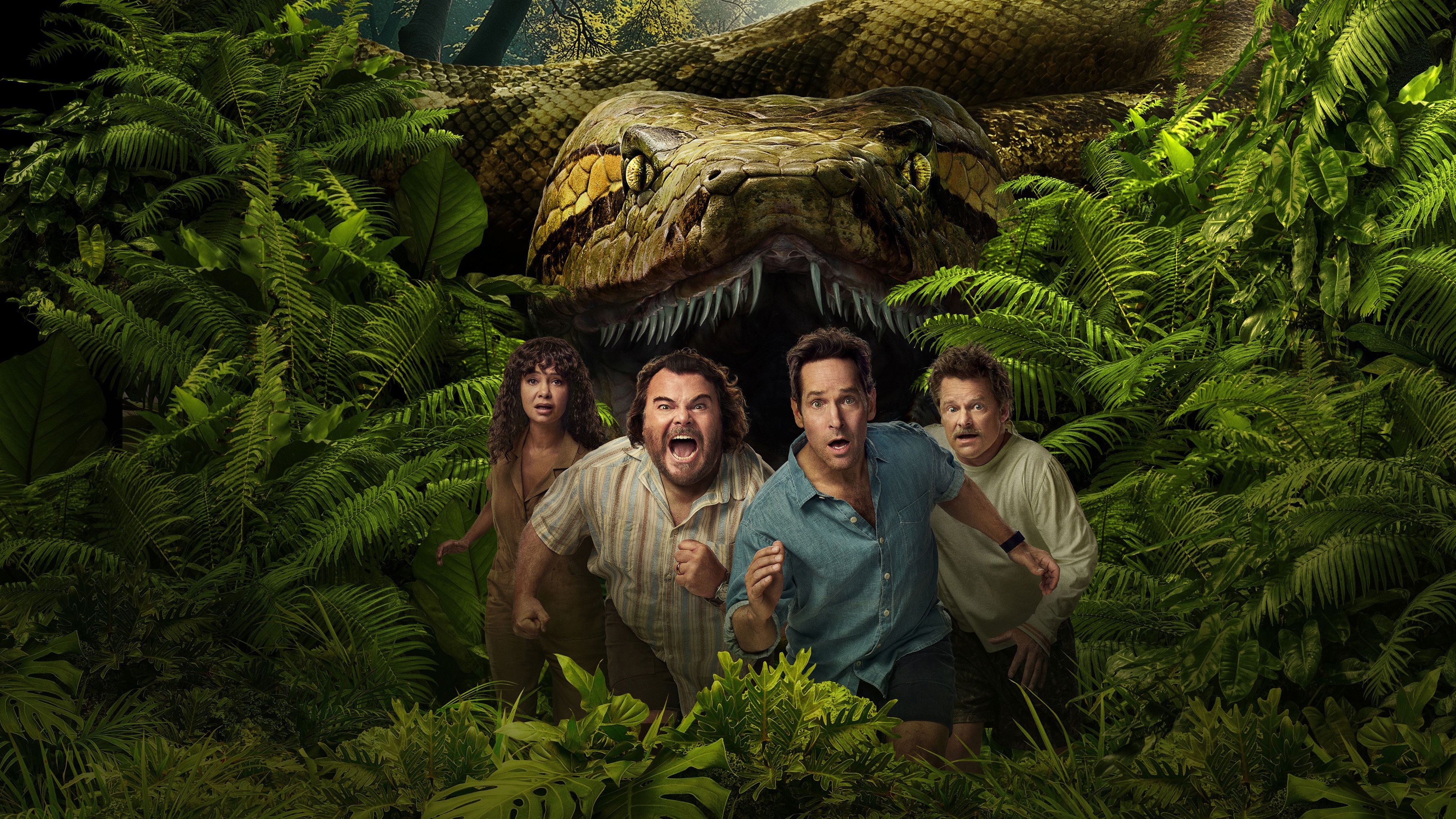Anaconda Background