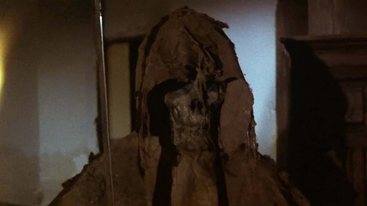 La noche de las gaviotas Background