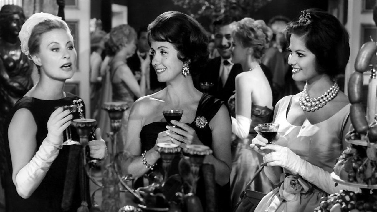 The Lions Are Loose Background