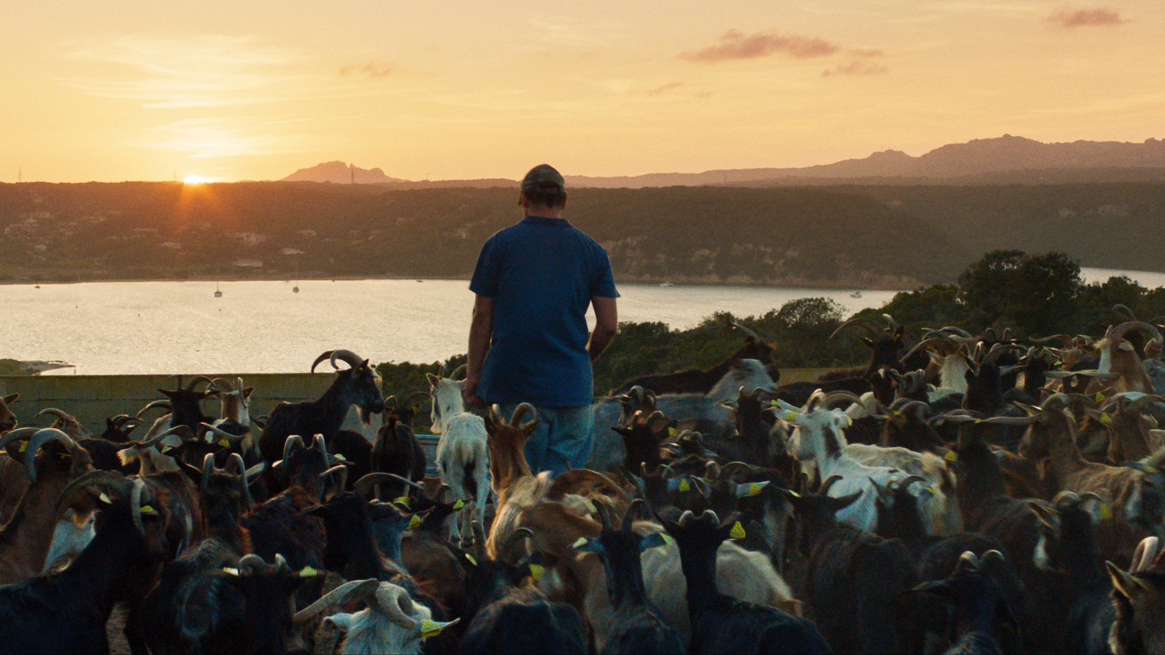 The Mohican Background