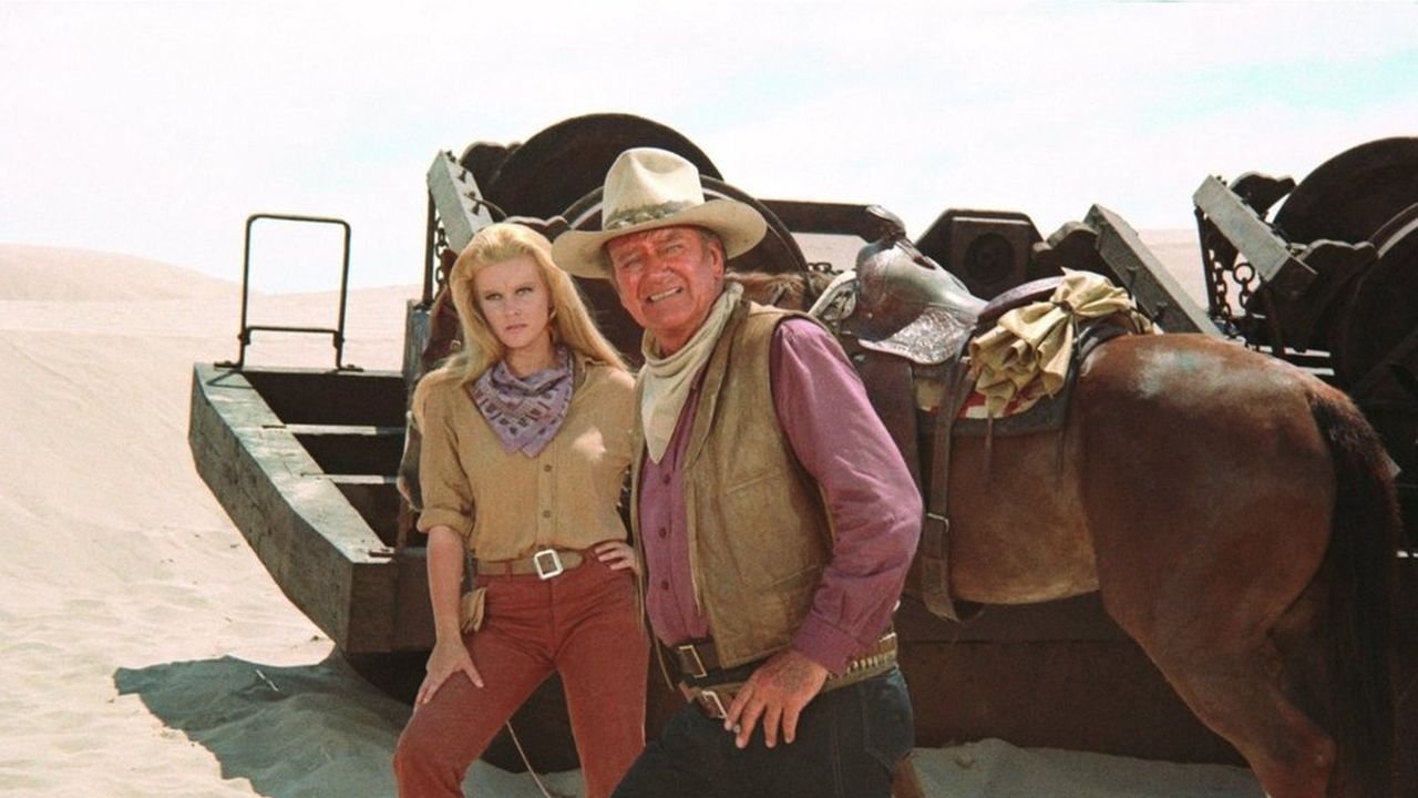 The Train Robbers Background