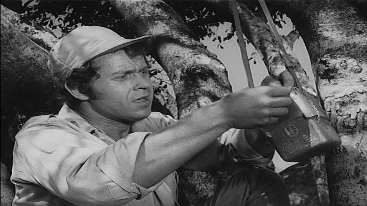 Das Geheimnis der Anden Background