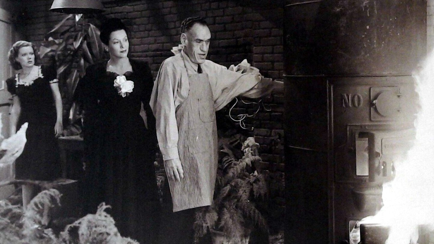 The Spider Woman Strikes Back Background