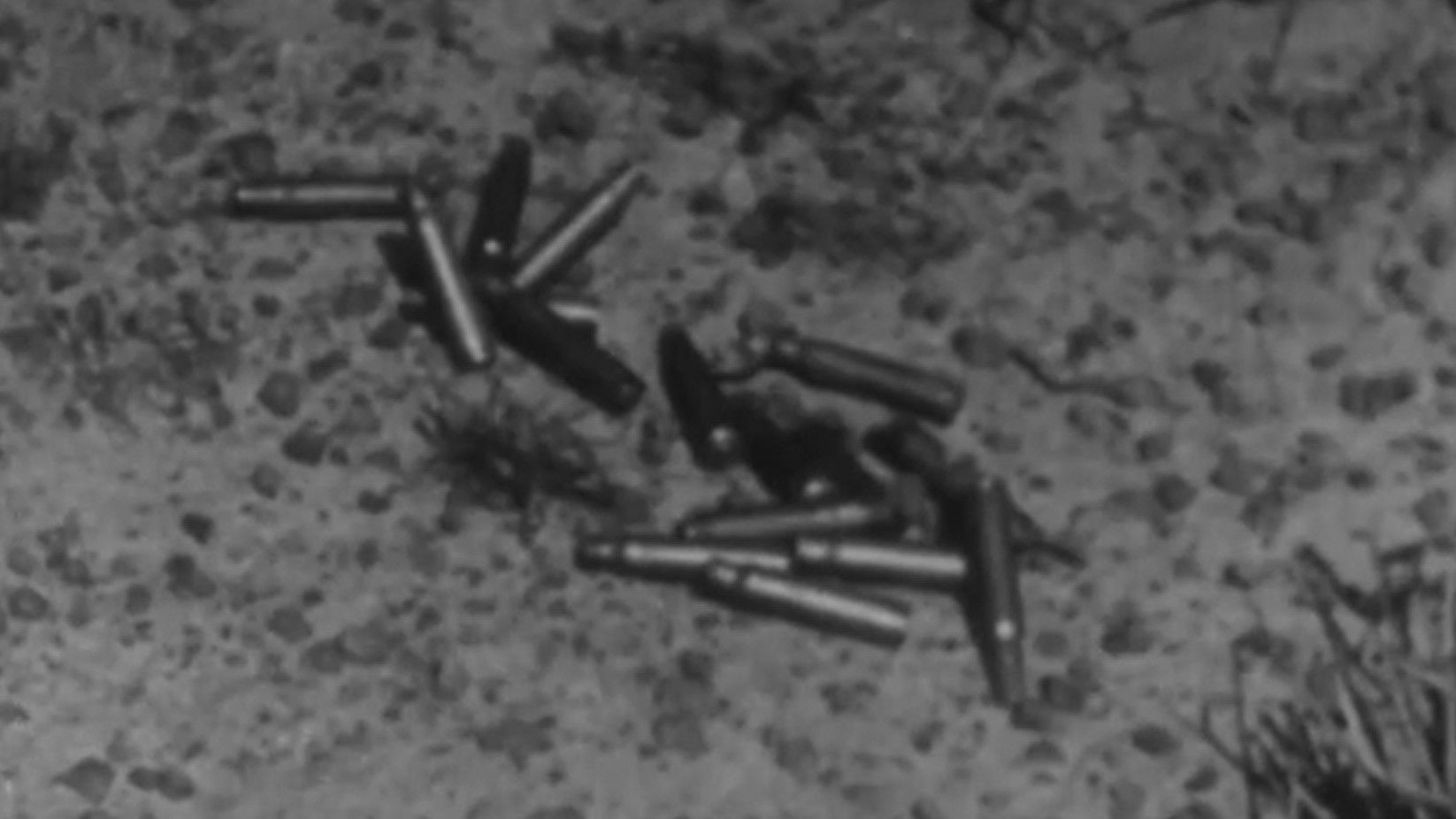 Afrique 50 Background