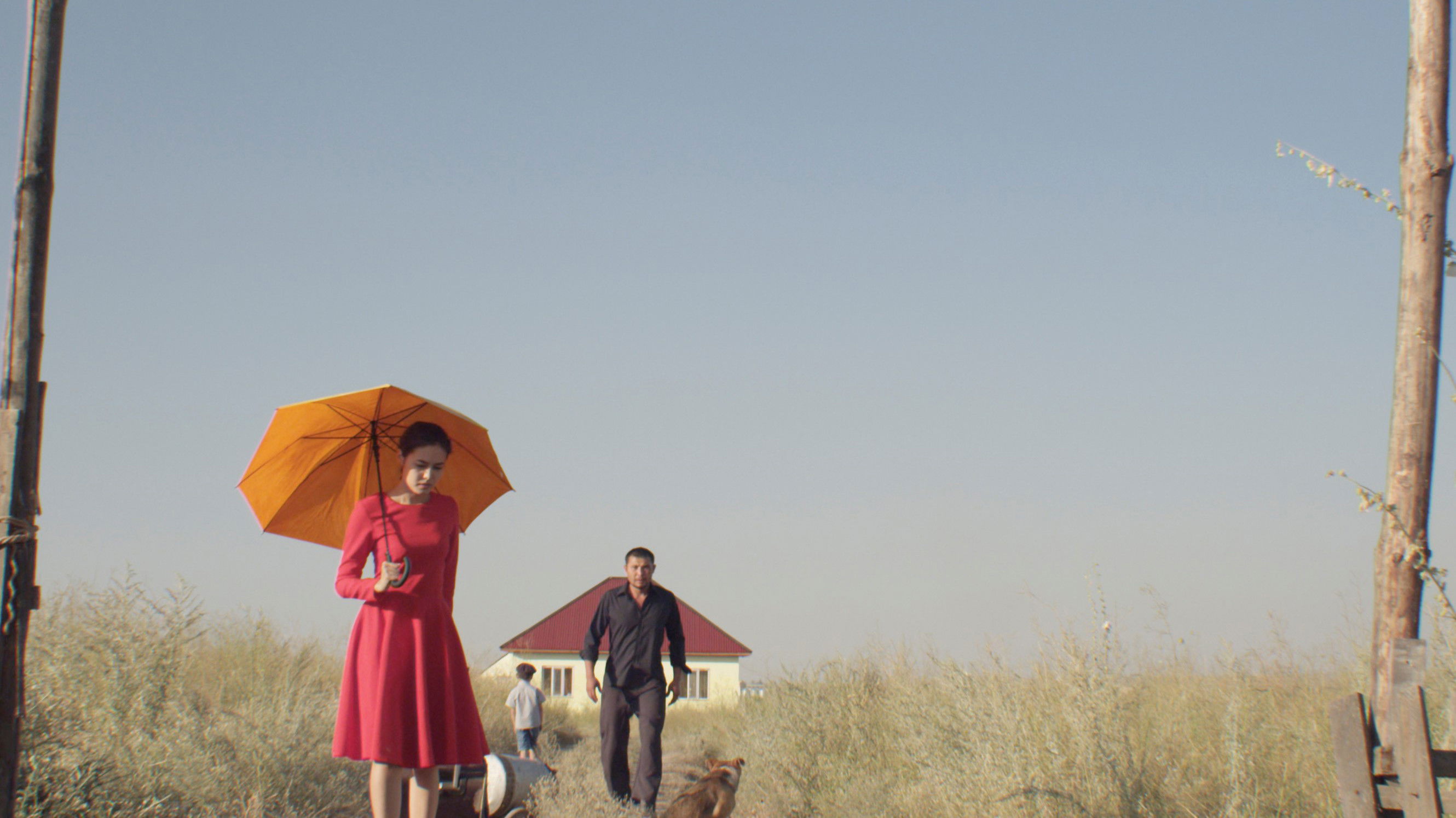 The Gentle Indifference of the World Background