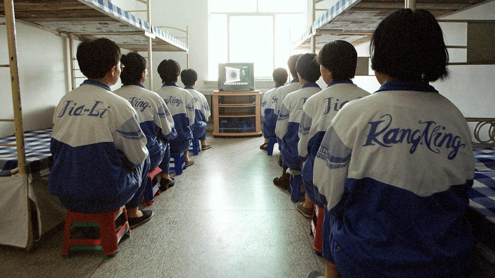 Laogai: Prison Nation - Inside China's Ruling System Background