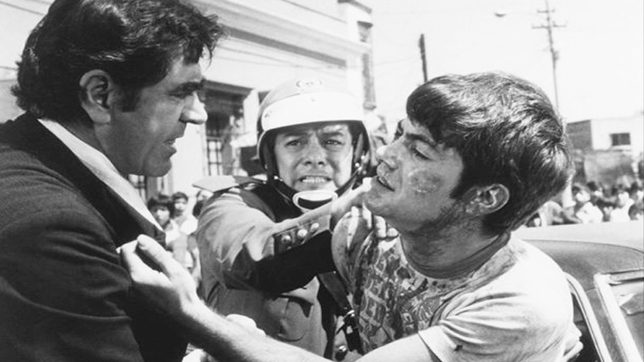 Perro callejero Background