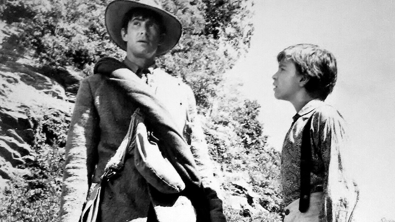 The Fool Killer Background