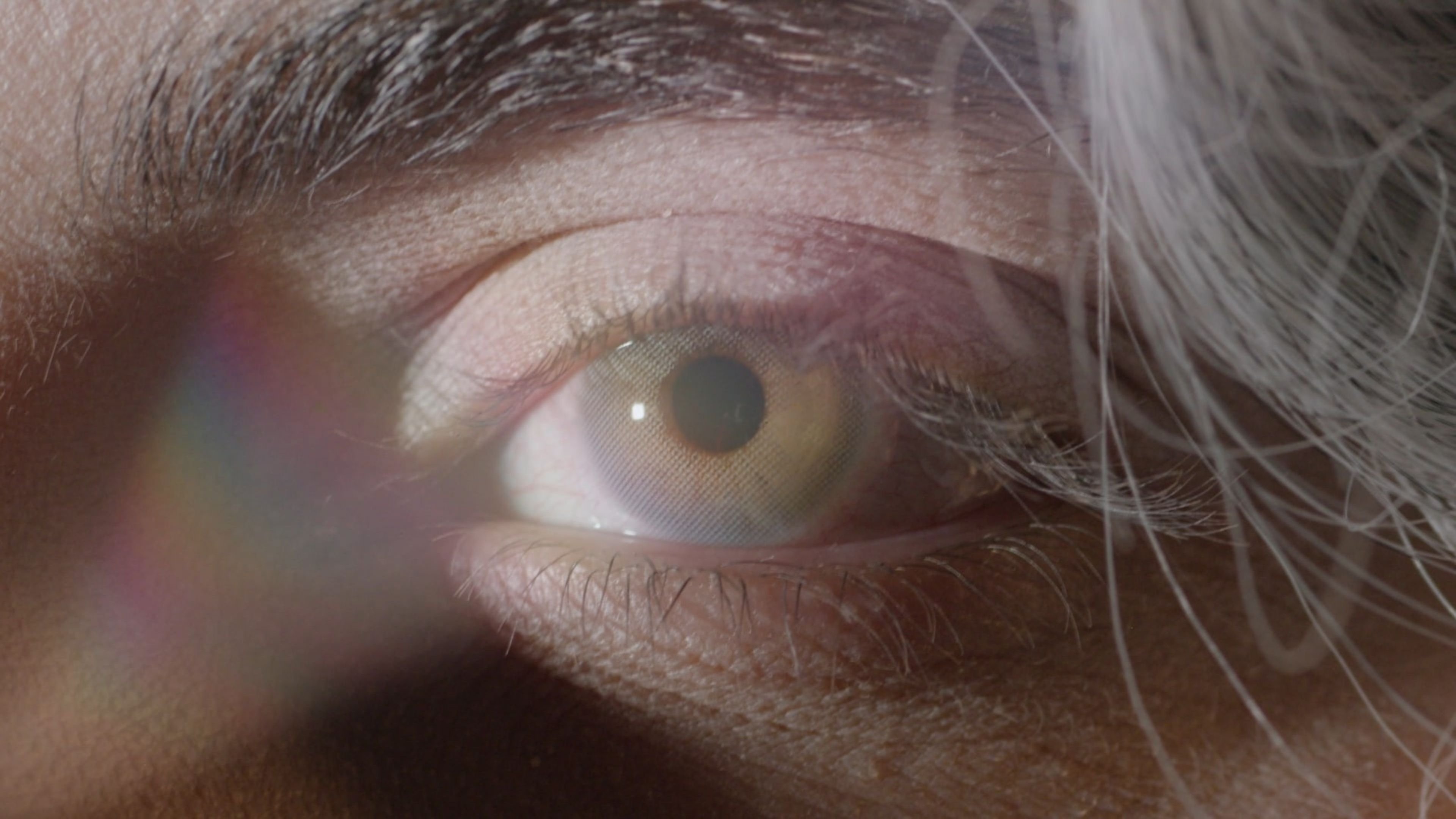 DIES MIRABILIS Background