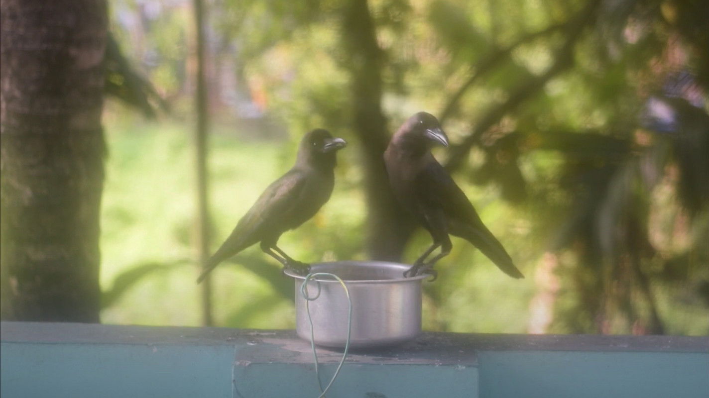 Aarodengilum Mindande Background