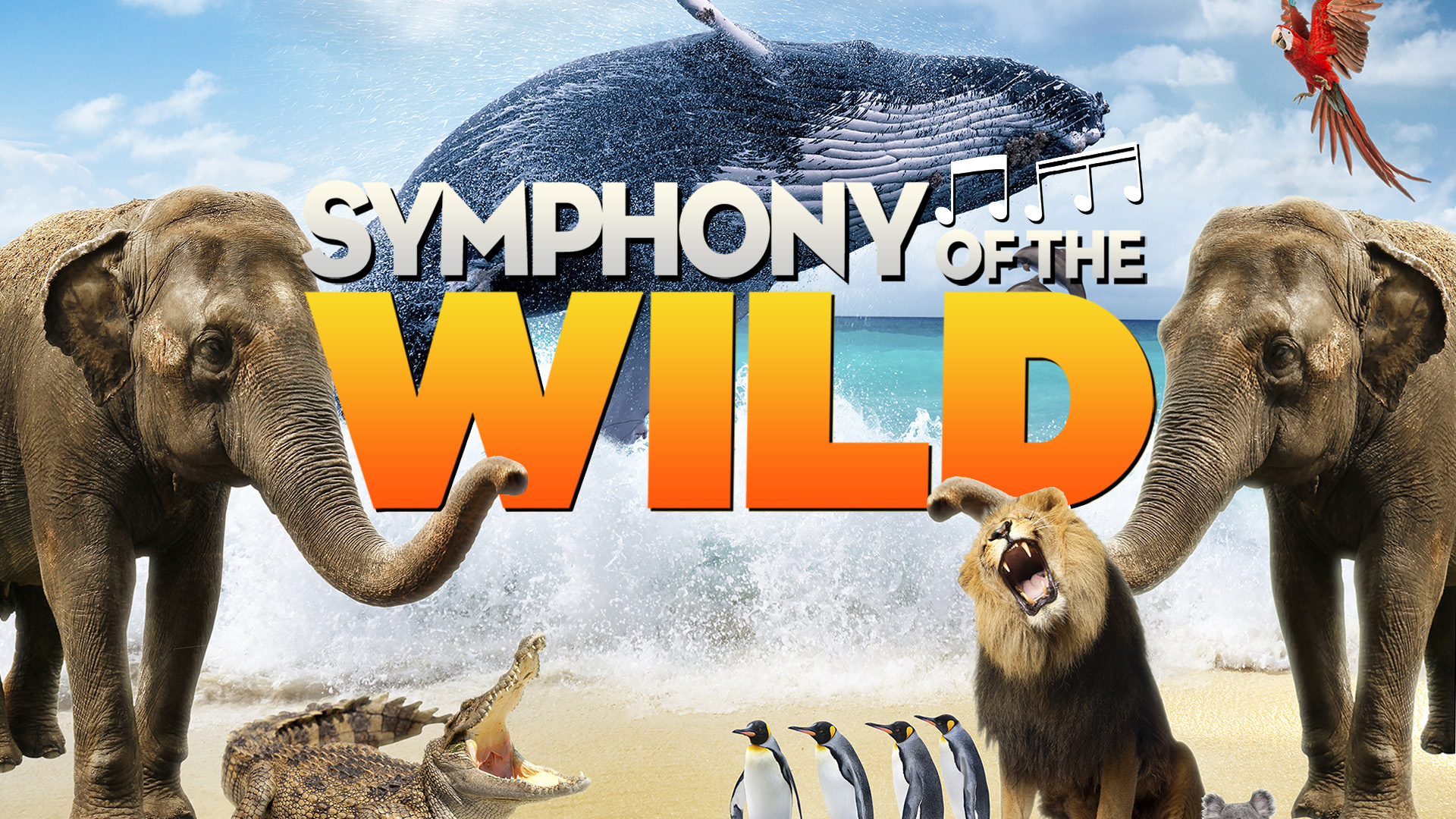 Symphony of the Wild Background