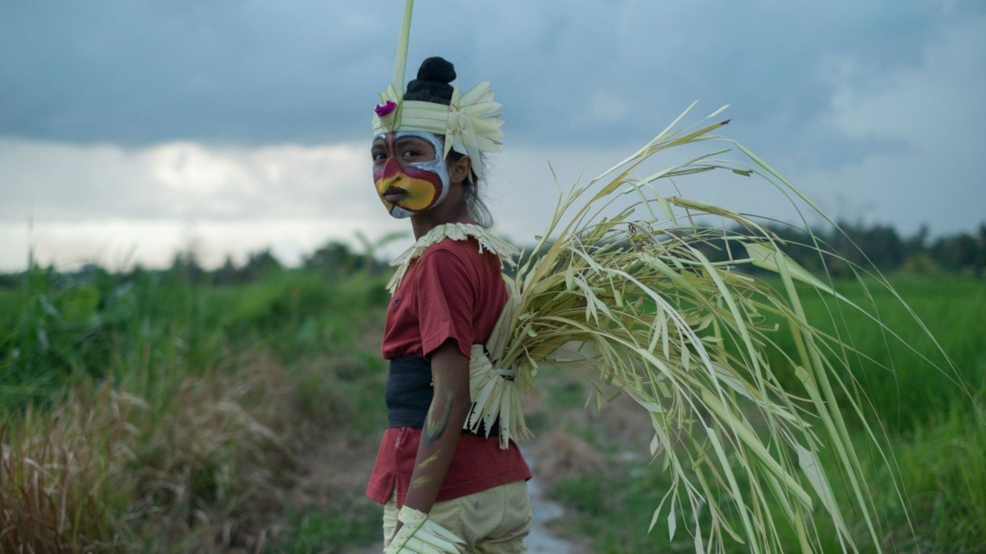 The Seen and Unseen Background