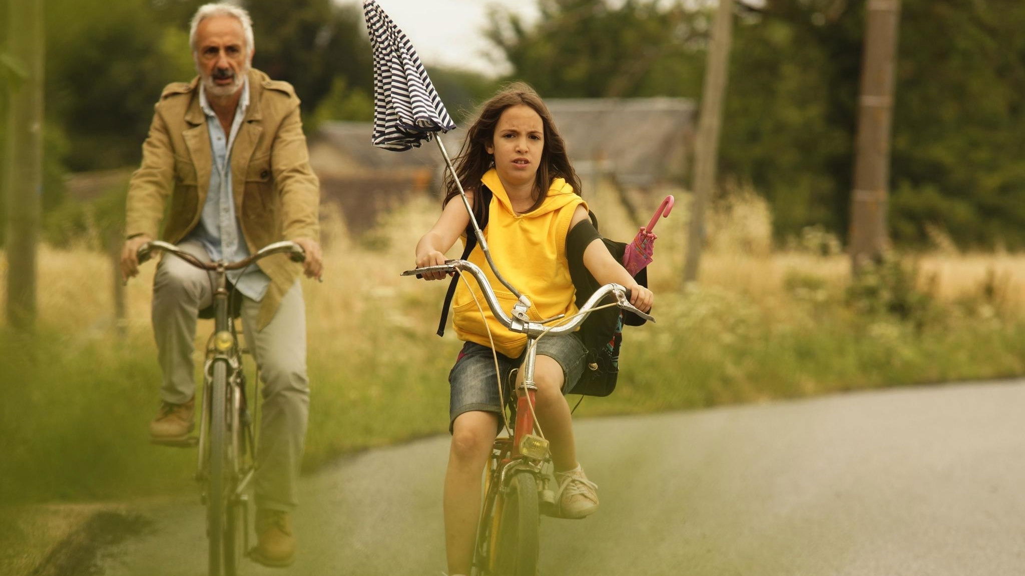 Le cygne des héros Background
