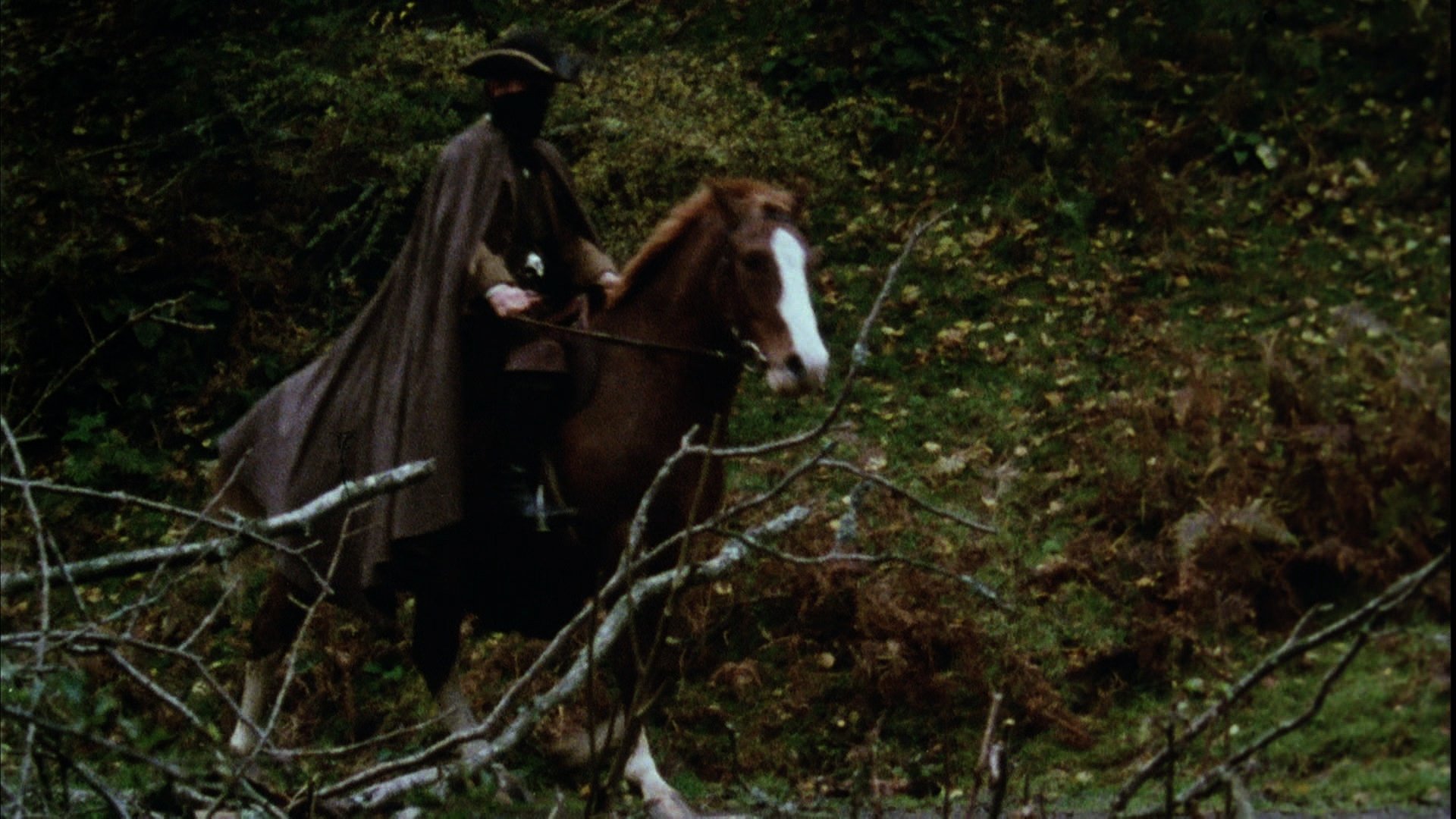 The Pledge Background