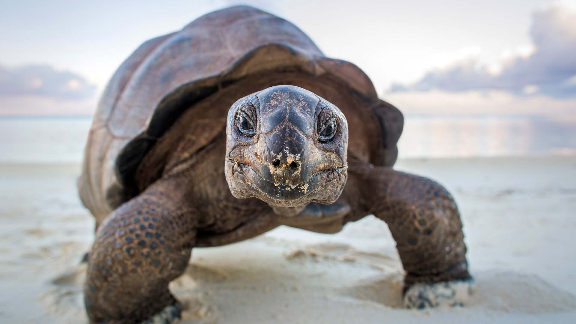 A Perfect Planet Background