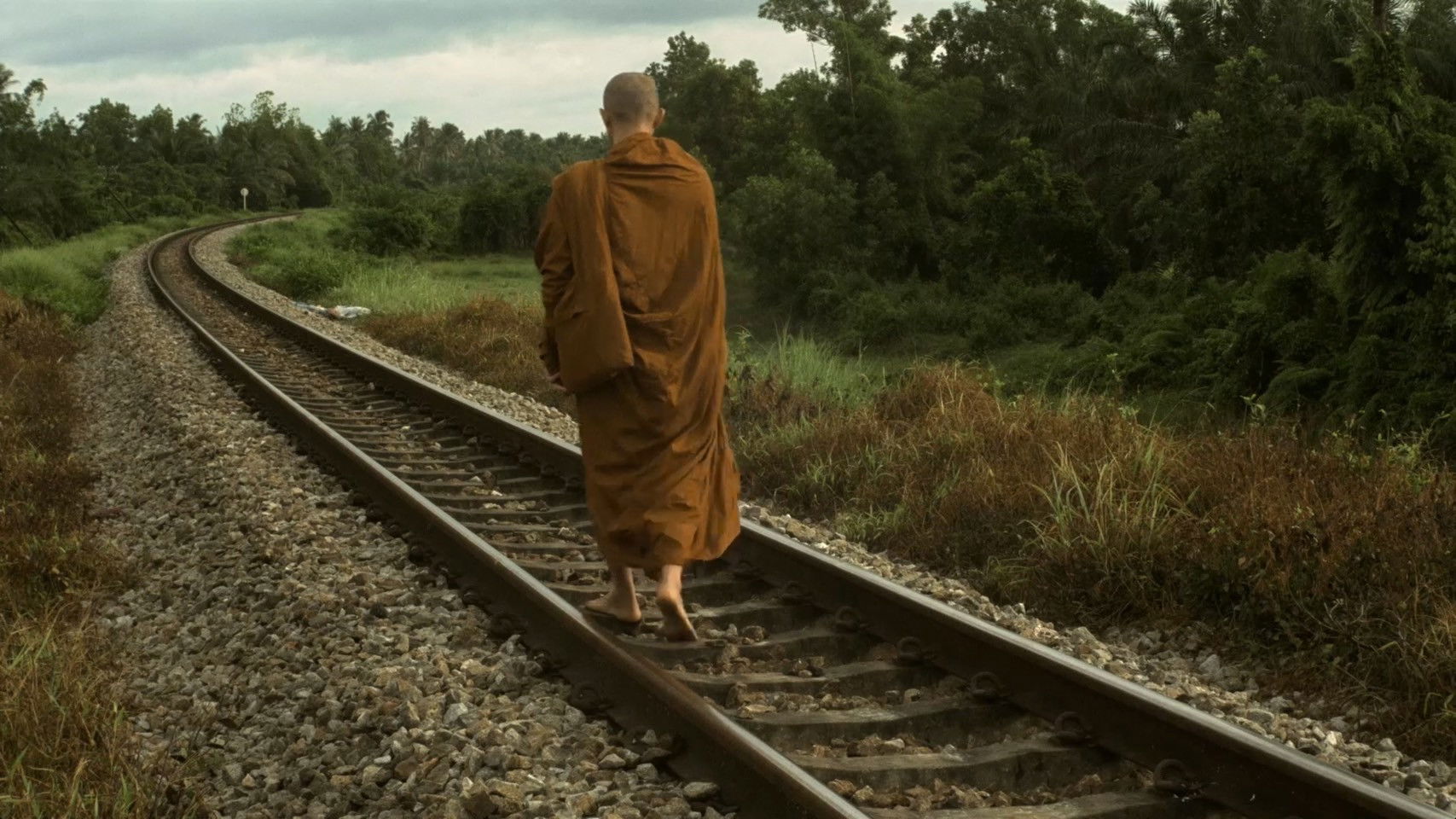 Wandering Background