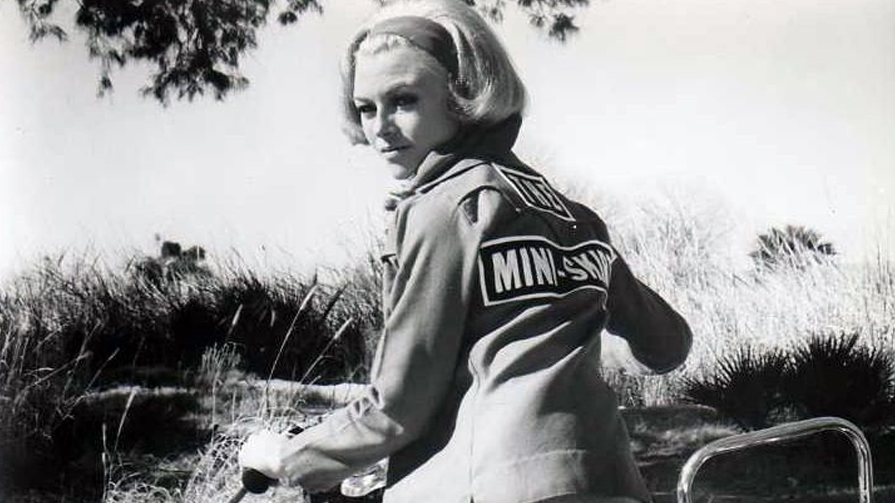 The Mini-Skirt Mob Background