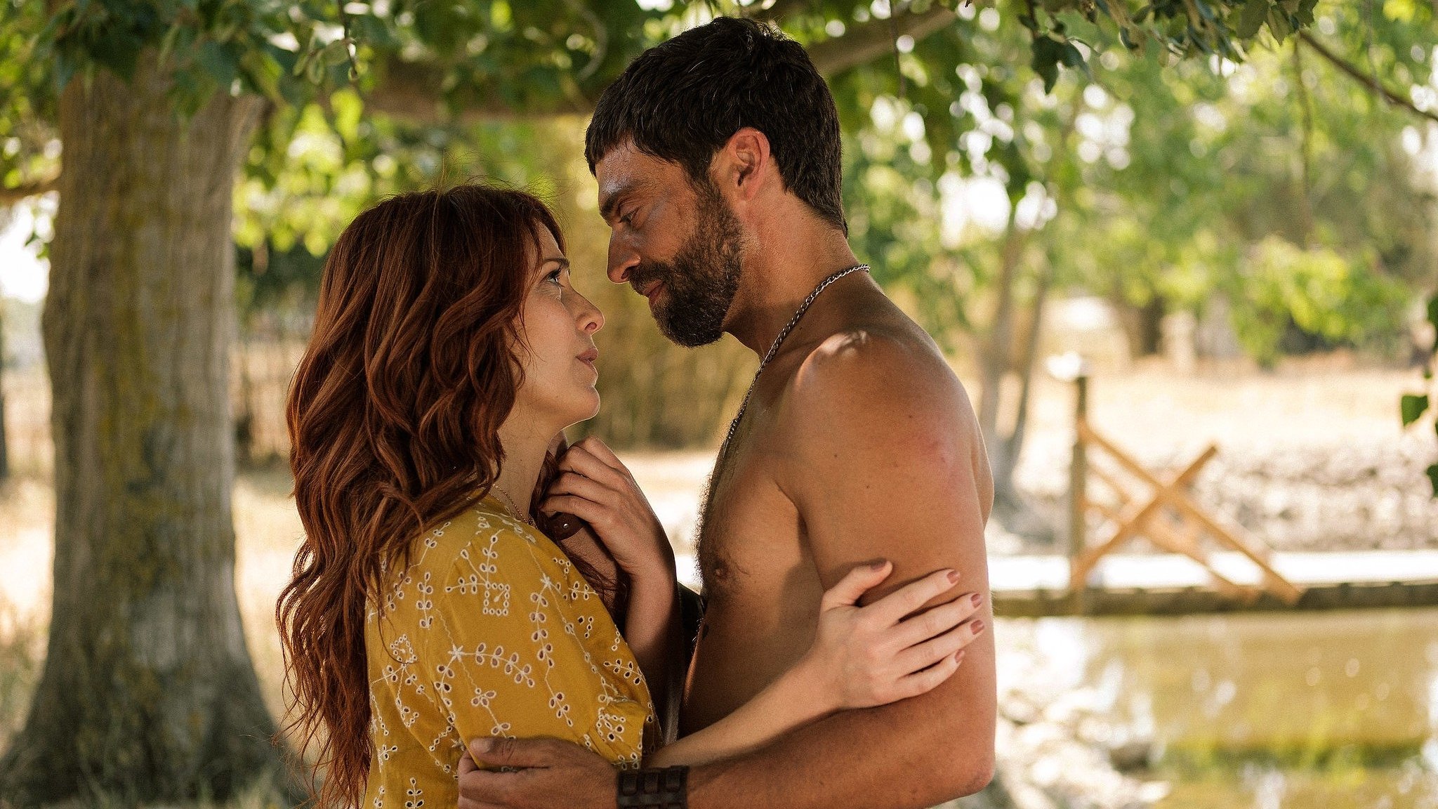 Pôr do Sol Background