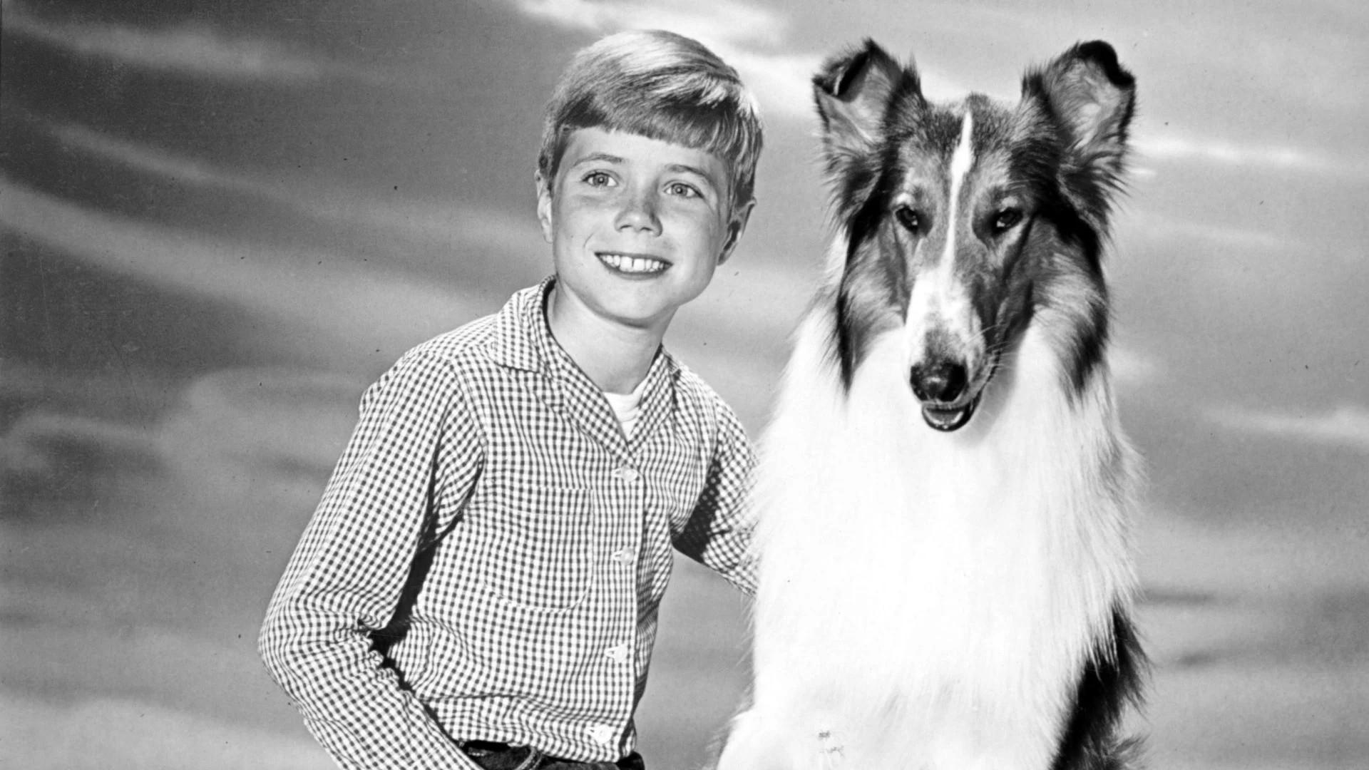 Lassie Background