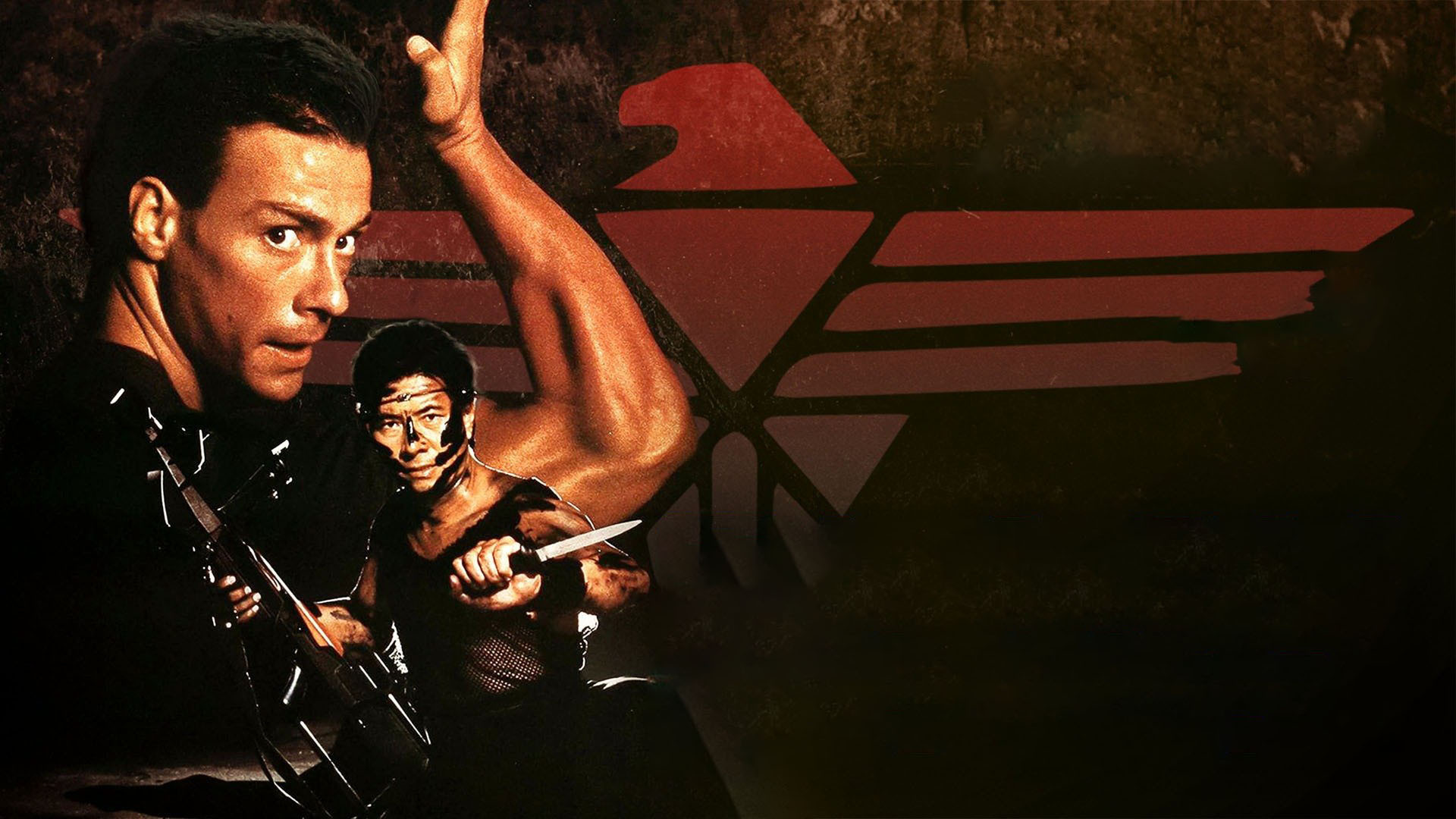 Black Eagle Background