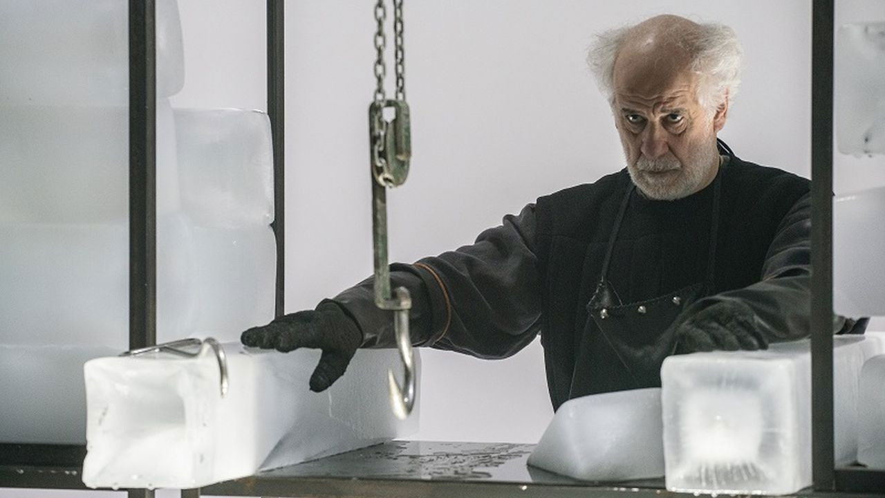 La divina cometa Background